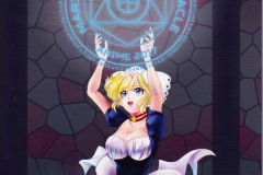 AnimeCon2017-cover AnimeCon2017-cover