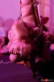 Floating and rotating bamboo for Lyon Shibari