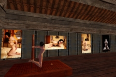 sl_snapshot3_002 sl_snapshot3_002