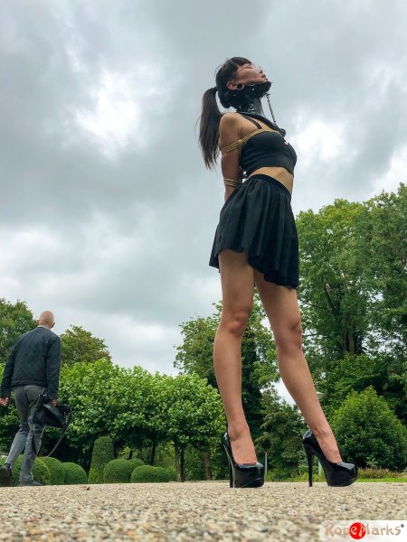 A walk in the park with Flawless