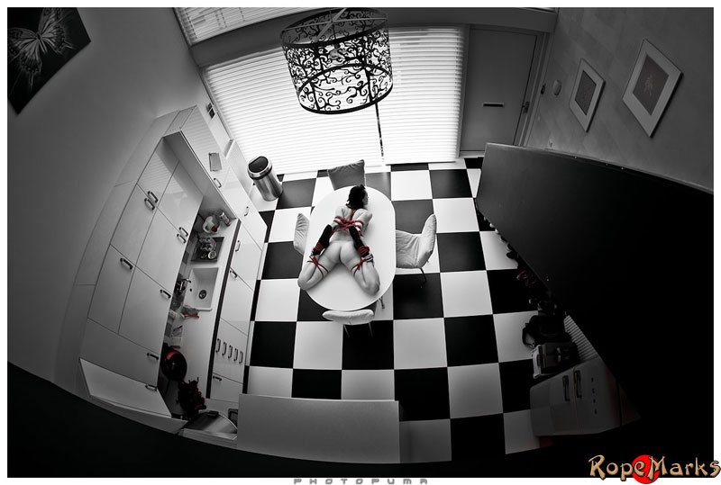 Hogtied on the kitchen table