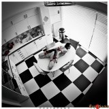 Hogtied on the kitchen table